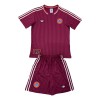 Virallinen Fanipaita + Shortsit Bayern München Adidas Terrace Icon 2024-25 - Lasten